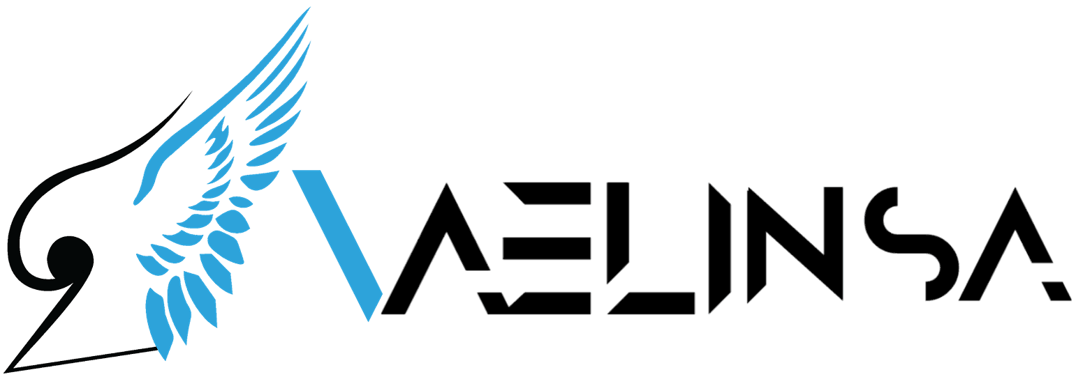 Vaelinsa, vaelinsa,3D, VAELINSA, 3D Printing, Coimbatore, Vaelinsa 3D printing, Reverse engineering